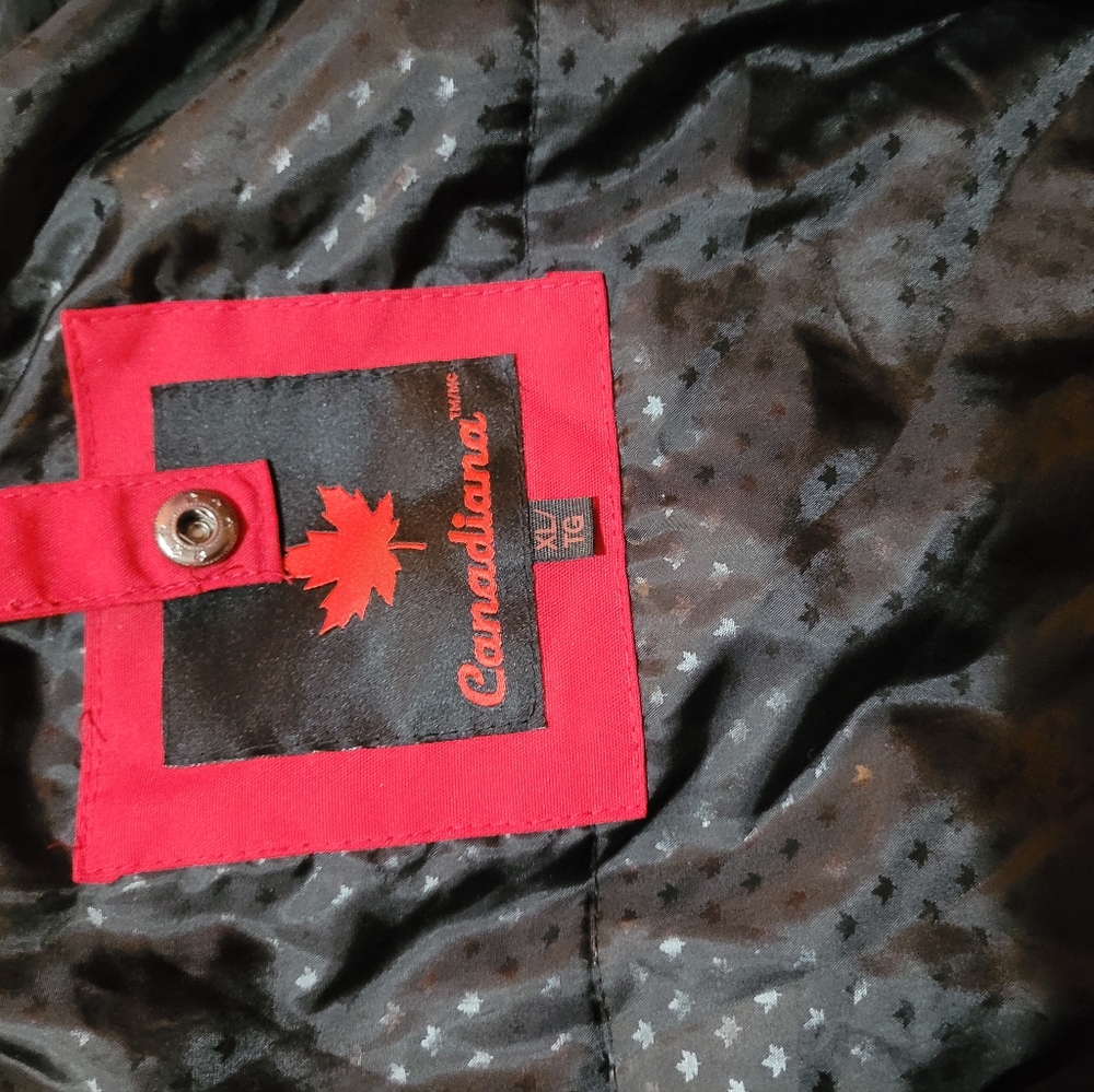 Jacket - Picture 6 of 12